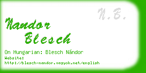 nandor blesch business card